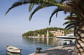 Harbour at Cavtat on the Dalmation Coast, Croatia, Europe