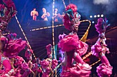 Dancing girls in elaborate pink feather outfits dancing at the Tropicana nightclub, Havana, Cuba, West Indies, Central America