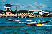 Langheckboote und Stelzenhäuser im Kampong Ayer Wasserdorf, Bandar Seri Begawan, Brunei, Asien