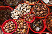 Muscheln und Schnecken werden am Markt verkauft, Busan, Yeongnam, Südkorea, Asien