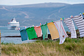 Wäsche hängt von einer Leine mit Expeditions-Kreuzfahrtschiff MS Hanseatic (Hapag-Lloyd Kreuzfahrten) im Hintergund, Carcass Island, Falklandinseln, Britisches Überseegebiet, Südamerika
