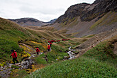 Passengers of expedition cruise ship MS Hanseatic (Hapag-Lloyd Cruises) enjoy a chance to stretch their legs during a hike from Grytviken to Maiviken on South Georgia., near Grytviken, South Georgia Island, Antarctica