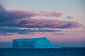 Ein Eisberg an der Einfahrt zum Drygalsky Fjord leuchtet im Abendlicht, Drygalsky Fjord, Südgeorgien, Antarktis