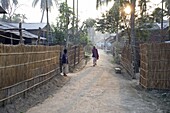 Assamese village, Kurua, very early morning, Brahmaputra, Assam, India, Asia