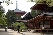 Group of temple buildings including the Konpon Daito stupa at the Dai Garan area of Mount Koya, Wakayama, Japan, Asia
