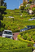 Lombard Street, the Crookedest street in the world, San Francisco, California, United States of America, North America