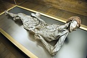 Preserved body of the 2000 year old Grauballe Man, Moesgard Museum of Prehistory, Arhus, Jutland, Denmark, Scandinavia, Europe