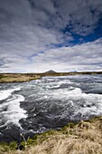 River Laxa flowing out of Lake Myvatn, Skutustaoir near Reykjahlid, Iceland, Polar Regions