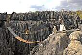 Guide standing on a hanging bridge above the Coral formations, Tsingy de Bemaraha, UNESCO World Heritage Site, Madagascar, Africa