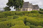 Elaborate topiary surrounding the chateau at Les Jardins de Marqueyssac in Vezac, Dordogne, France, Europe