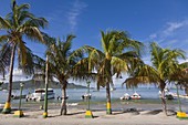 Juangriego harbour, Juangriego, Isla De Margarita (Margarita Island), Nueva Esparta, Venezuela, South America