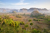 Early morning view over the Vinales Valley, UNESCO World Heritage Site, from Hotel Los Jasmines, Vinales, Pinar del Rio, Cuba, West Indies, Central America