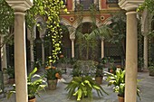 Beautiful Sevillan patio, Triana district, Sevilla, Andalusia, Spain, Europe