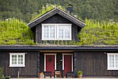 House with green roof, near Tinn, Telemark, Norway, Scandinavia, Europe