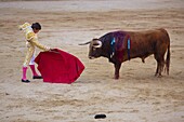 Bullfight, Plaza de Toros, San Fermin Fiesta, Pamplona, Navarra, Spain, Europe