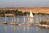 Nile scene near Aswan, Egypt, North Africa, Africa