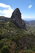 Parque Nacional de Garajonay, UNESCO World Heritage Site, Gomera, Canary Islands, Spain, Europe
