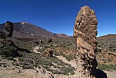 Las Canadas, Parque Nacional del Teide, UNESCO World Heritage Site, Tenerife, Canary Islands, Spain, Europe