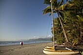Four Mile Beach with coconut palm trees, Port Douglas, Queensland, Australia, Pacific