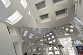 The Cleveland Clinic, Lou Ruvo Center for Brain Health, Frank Gehry architect, Las Vegas, Nevada, United States of America, North America