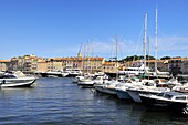 Boats in Vieux Port harbour, St. Tropez, Var, Provence, Cote d'Azur, France, Mediterranean, Europe