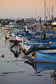Line of fishing boats at dusk in the harbour, Sozopol, Black Sea, Bulgaria, Europe