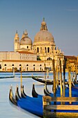 Santa Maria della Salute Church across Basino di San Marco, Venice, UNESCO World Heritage Site, Veneto, Italy, Europe