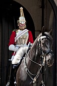 Life Guard one of the Household Cavalry Regiments on sentry duty, London, England, United Kingdom, Europe
