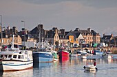 The harbour at Saint Vaast La Hougue, Cotentin Peninsula, Normandy, France, Europe