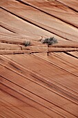 Sandstone layers, Vermillion Cliffs National Monument, Arizona, United States of America, North America