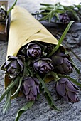 Artichokes in a bag, Italy, Europe