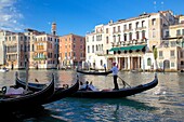 Gondolas on the Grand Canal, Venice, UNESCO World Heritage Site, Veneto, Italy, Europe