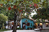 Colorful houses at Quadrado, the main square in Trancoso, Bahia, Brazil, South America