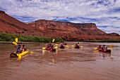 Rafting on the Upper Colorado River near Moab, Utah, United States of America, North America