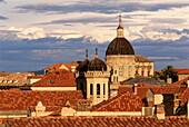 Elevated view over the Old Town tiled rooftops to the cathedral, Dubrovnik, UNESCO World Heritage Site, Dalmatia, Croatia, Europe