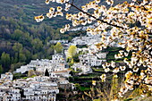 Trevelez in spring, Sierra Nevada, Andalucia, Spain, Europe