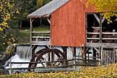 Autumn foliage around the old mill and waterfall in Weston, Vermont, New England, United States of America, North America