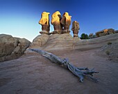 Sculptured rock formations, Devil's Garden, Grand Staircase Escalante, Utah, United States of America, North America
