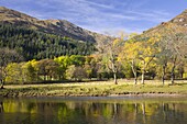 Autumn view across Loch Lubnaig to the slopes of Ben Ledi, near Callander, Loch Lomond and the Trossachs National Park, Stirling, Scotland, United Kingdom, Europe