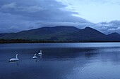 Twilight at Bassenthwaite Lake, Lake District National Park, Cumbria, England, United Kingdom, Europe