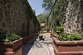 Gardens in Guanajuato, UNESCO World Heritage Site, Guanajuato State, Mexico, North America