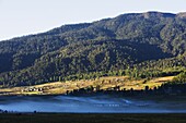 Mist in Phobjikha Valley, Bhutan, Asia