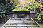 Autumn colours and moss covered entrance, Honen in temple dating from 1680, Kyoto, Japan, Asia