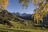 Santa Maddalena, Val di Funes, Dolomites, Bolzano province, Trentino-Alto Adige, Italy, Europe