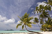 Bora-Bora, Leeward group, Society Islands, French Polynesia, Pacific Islands, Pacific