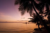 Rangiroa, Tuamotu Archipelago, French Polynesia, Pacific Islands, Pacific