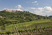 Montepulciano, Val d'Orcia, Siena province, Tuscany, Italy, Europe