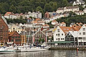 Part of the waterfront at Torgen and the houses above, Bergen, Norway, Scandinavia, Europe