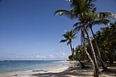 Las Terrenas, Samana Peninsula, Dominican Republic, West Indies, Caribbean, Central America