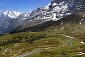 Train from Grindelwald on route to Kleine Scheidegg, Bernese Oberland, Swiss Alps, Switzerland, Europe